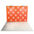 10ft Perfect-Pop™ - Straight Display with 2 Lights