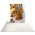 6.5ft Firefly SEG Lightbox Double-Sided Backlit Display