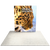 6.5ft Firefly SEG Lightbox Single-Sided Backlit Display
