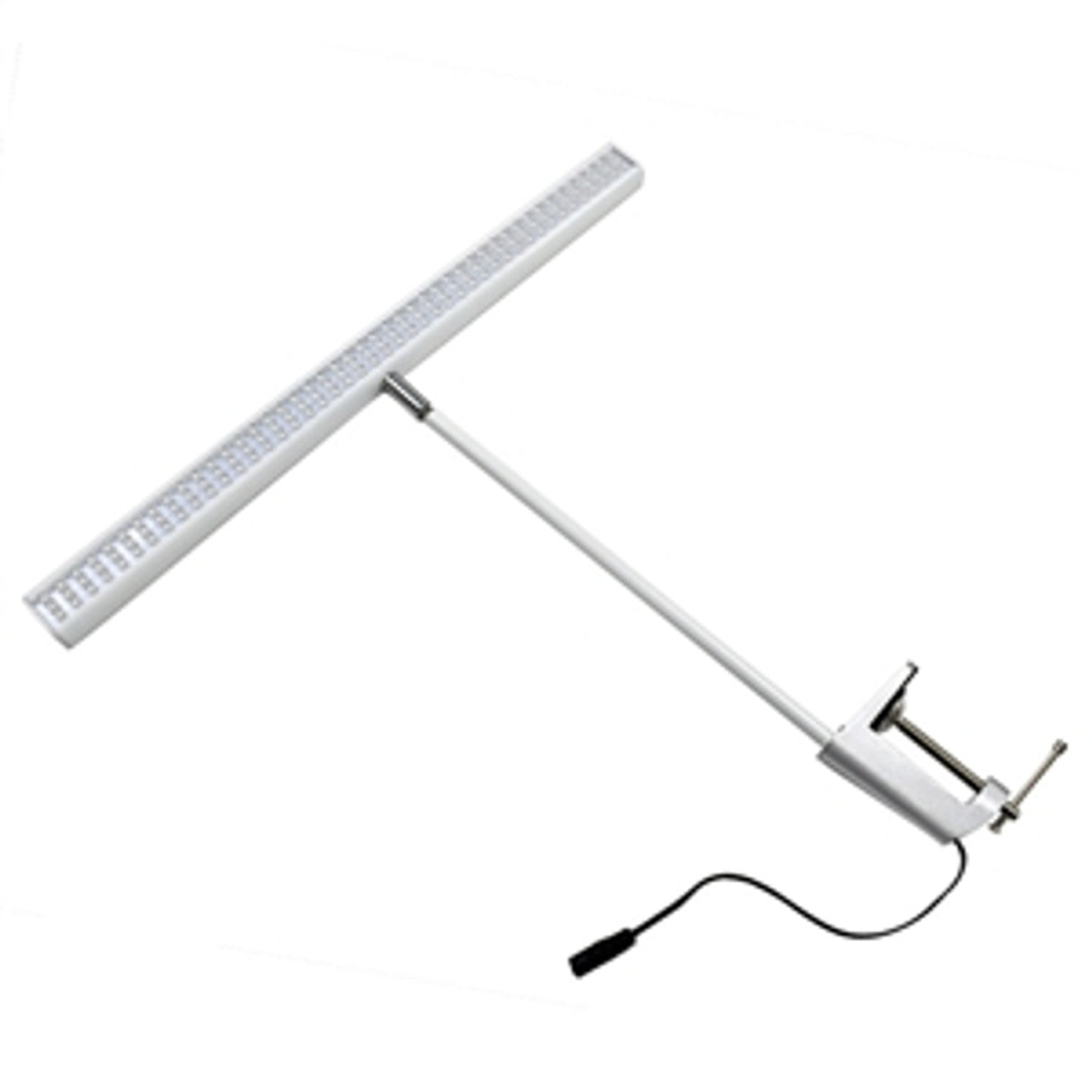 White LED Display Light