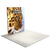 6.5ft Firefly SEG Lightbox Single-Sided Backlit Display