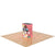 Lightbox Counter