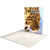 6.5ft Firefly SEG Lightbox Double-Sided Backlit Display