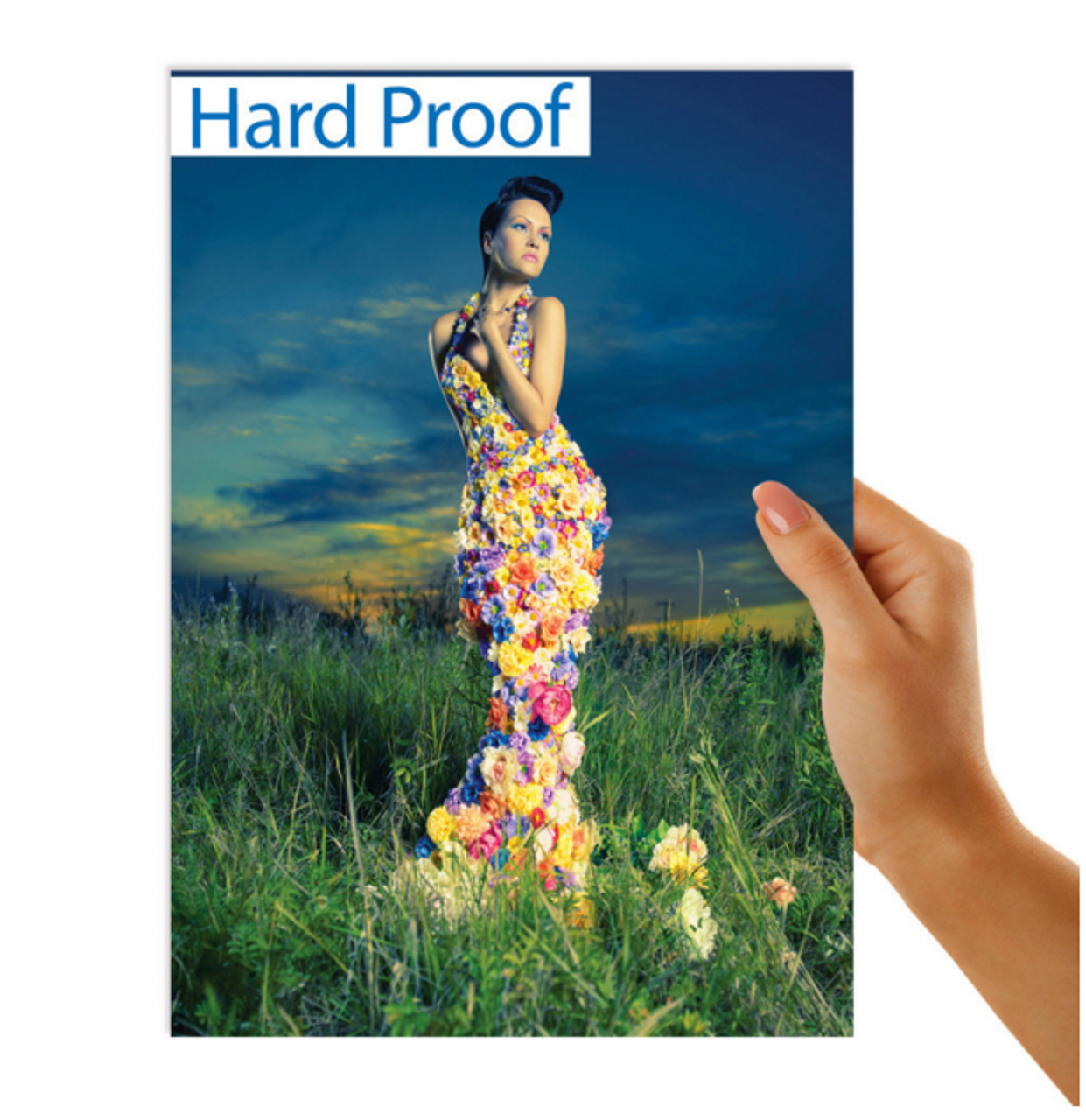 Hard Copy Proof