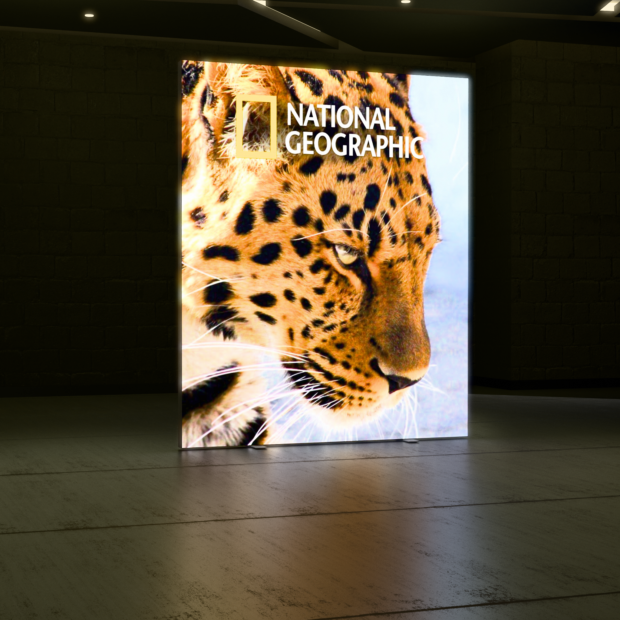 6.5ft Firefly SEG Lightbox Single-Sided Backlit Display