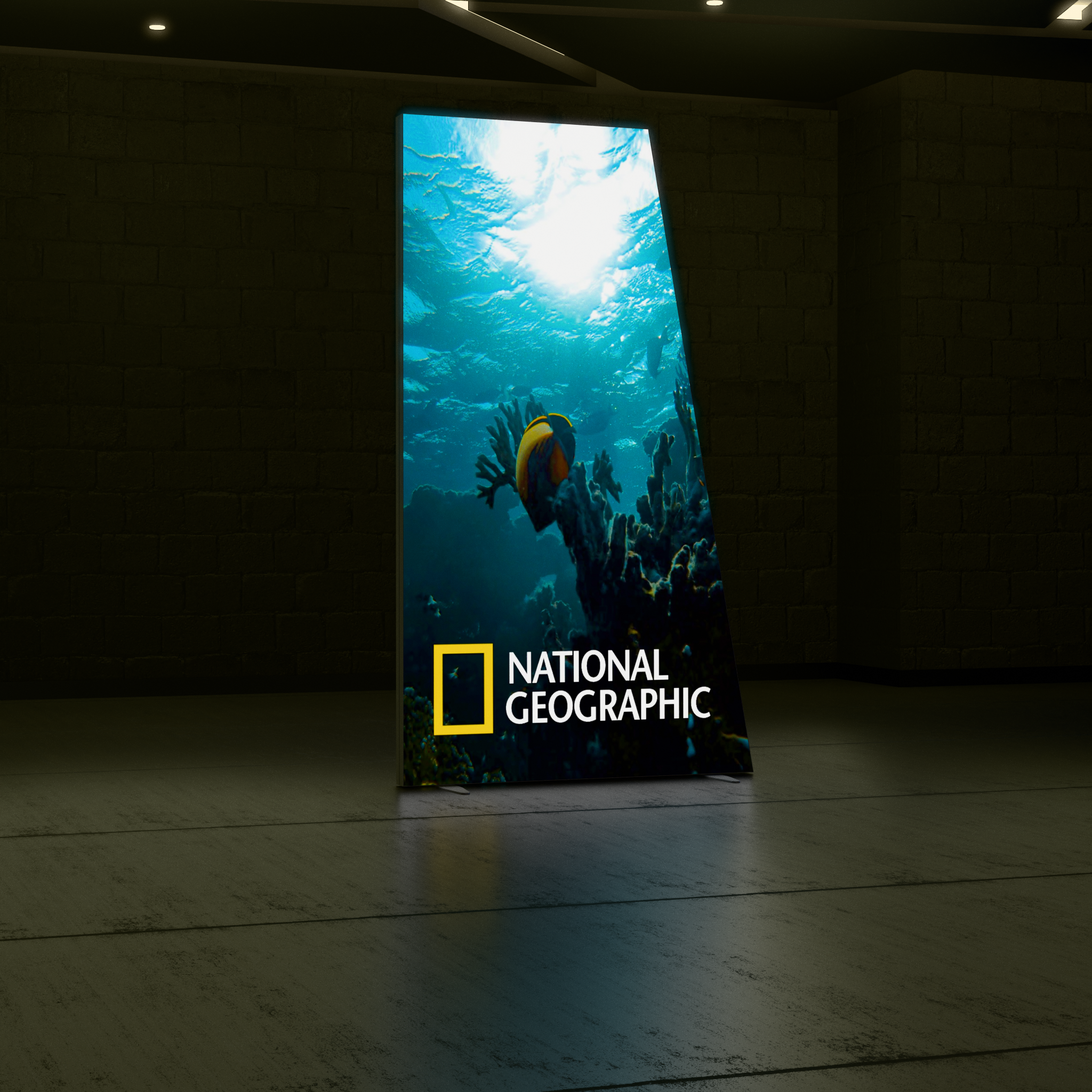 5ft Angled Firefly SEG Lightbox Single-Sided Backlit Display