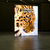 6.5ft Firefly SEG Lightbox Double-Sided Backlit Display