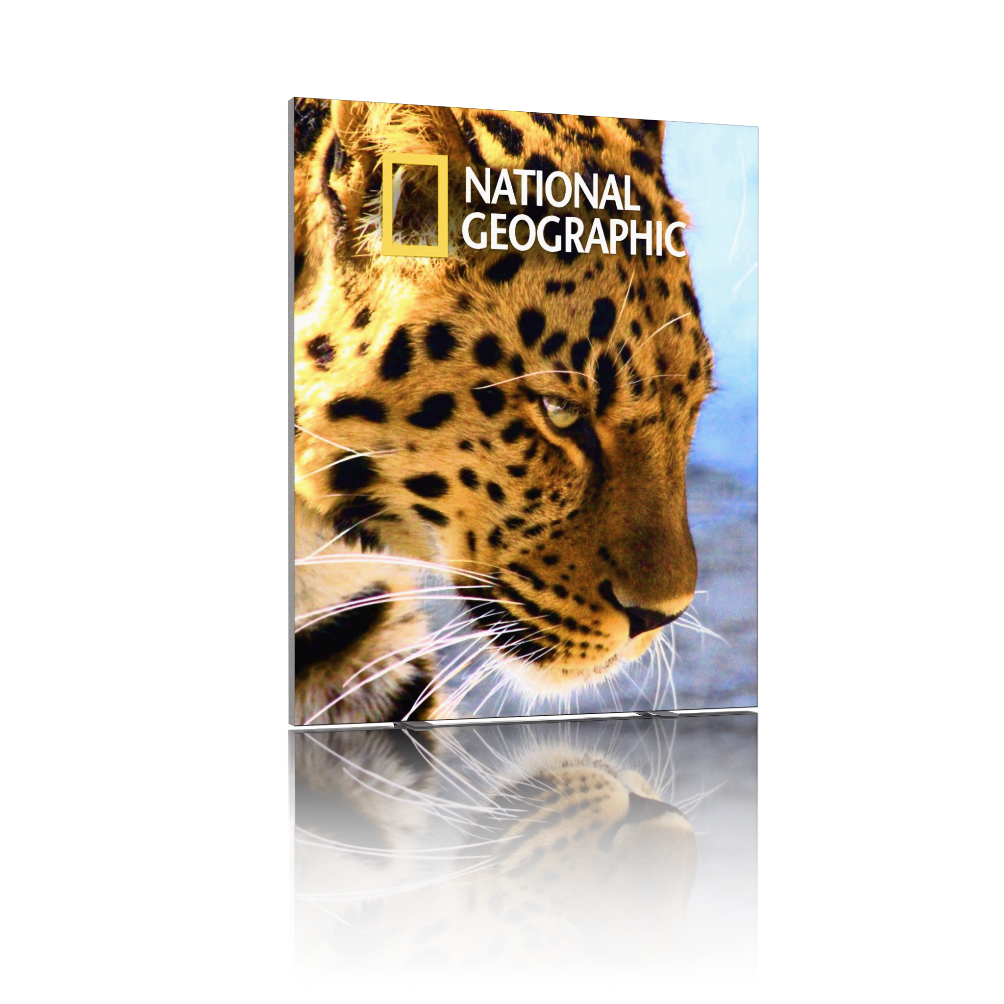 6.5ft Firefly SEG Lightbox Single-Sided Backlit Display