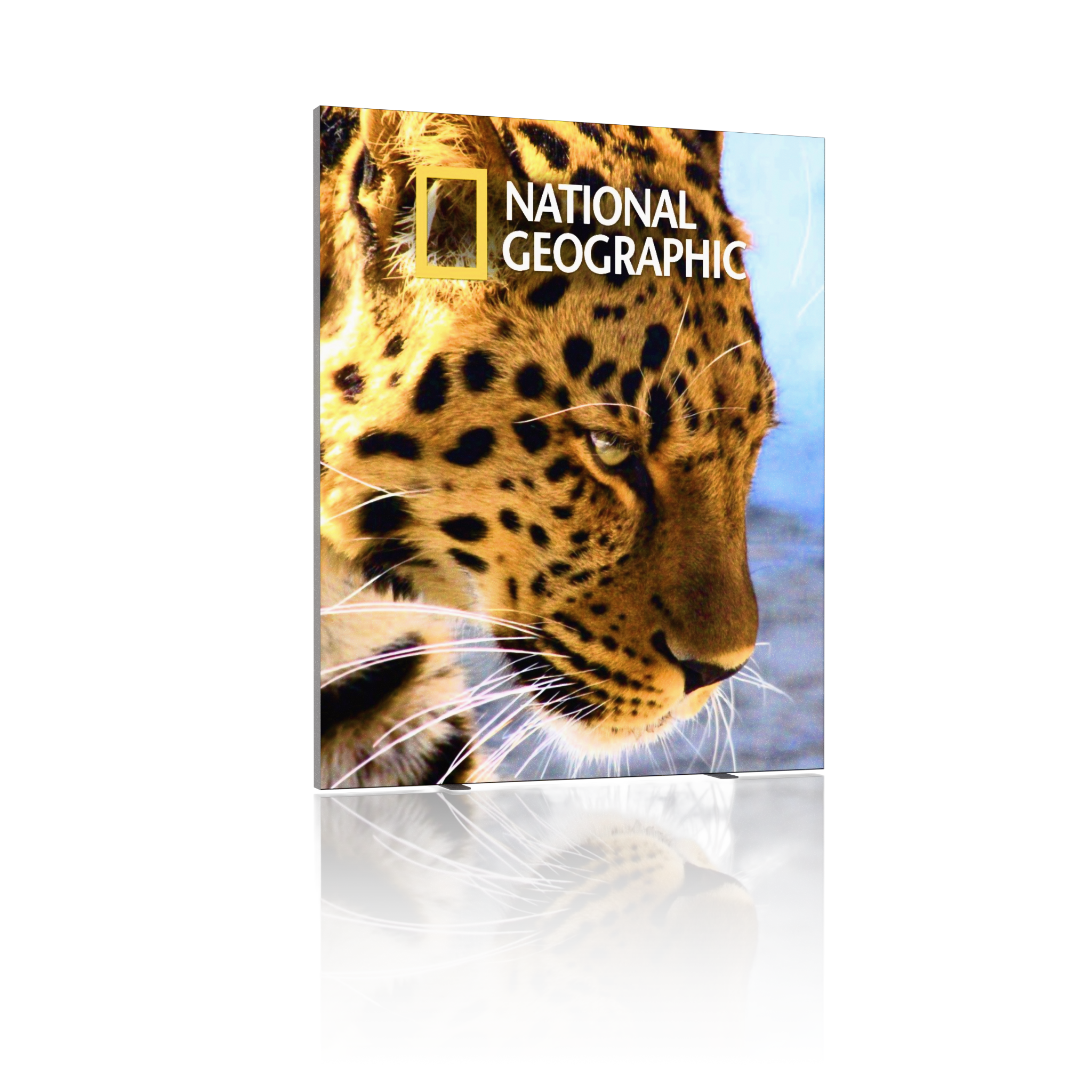 6.5ft Firefly SEG Lightbox Double-Sided Backlit Display