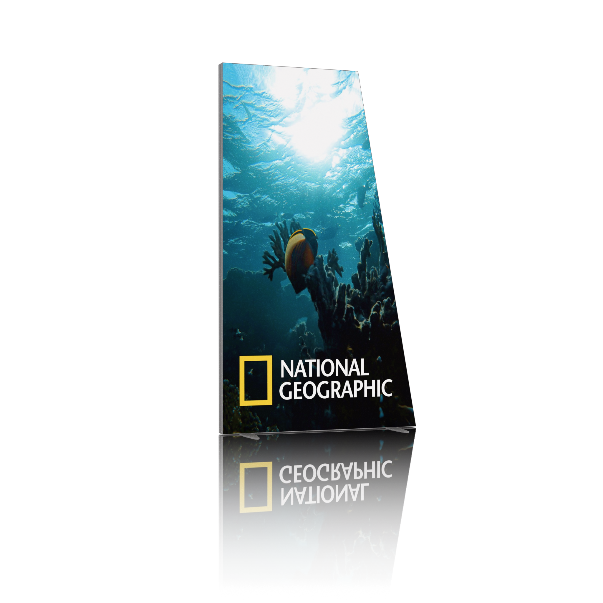 5ft Angled Firefly SEG Lightbox Double-Sided Backlit Display