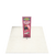 24" Economy Retractable Banner Stand